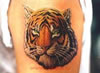 татуировки животных